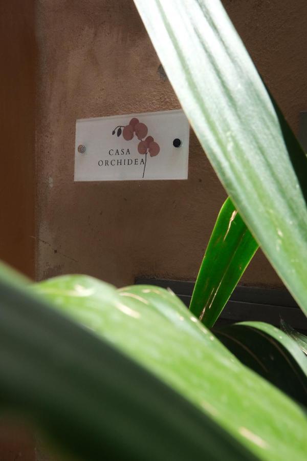 Casa Orchidea Daire Roma Dış mekan fotoğraf